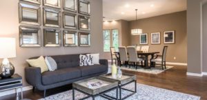 texasstagedhomes